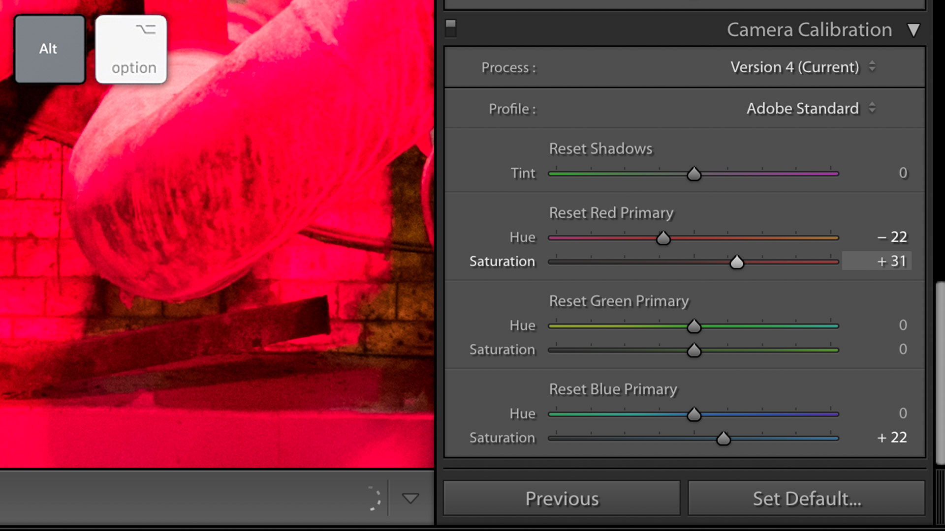 Quick Tip: Use the "Alt" or "Option" Key to Preview Lightroom Classic Adjustments
