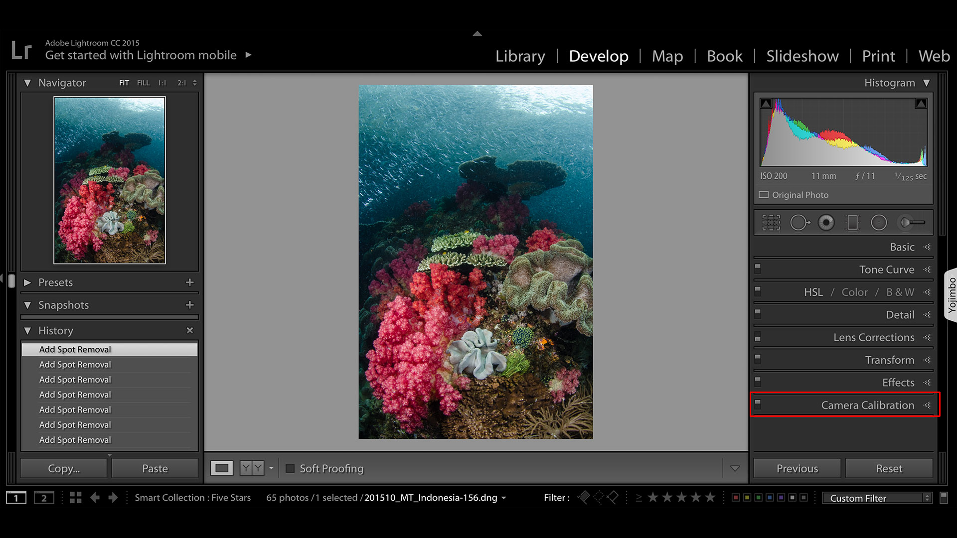 Quick Tip: What happened to "Camera Calibration" in Lightroom Classic Creative Cloud?