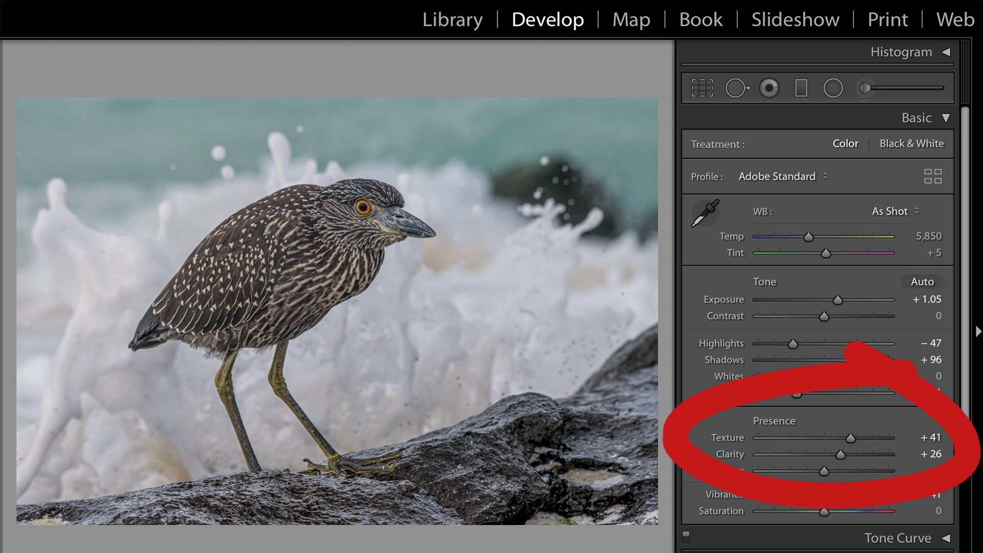 Using the texture slider in Lightroom Classic