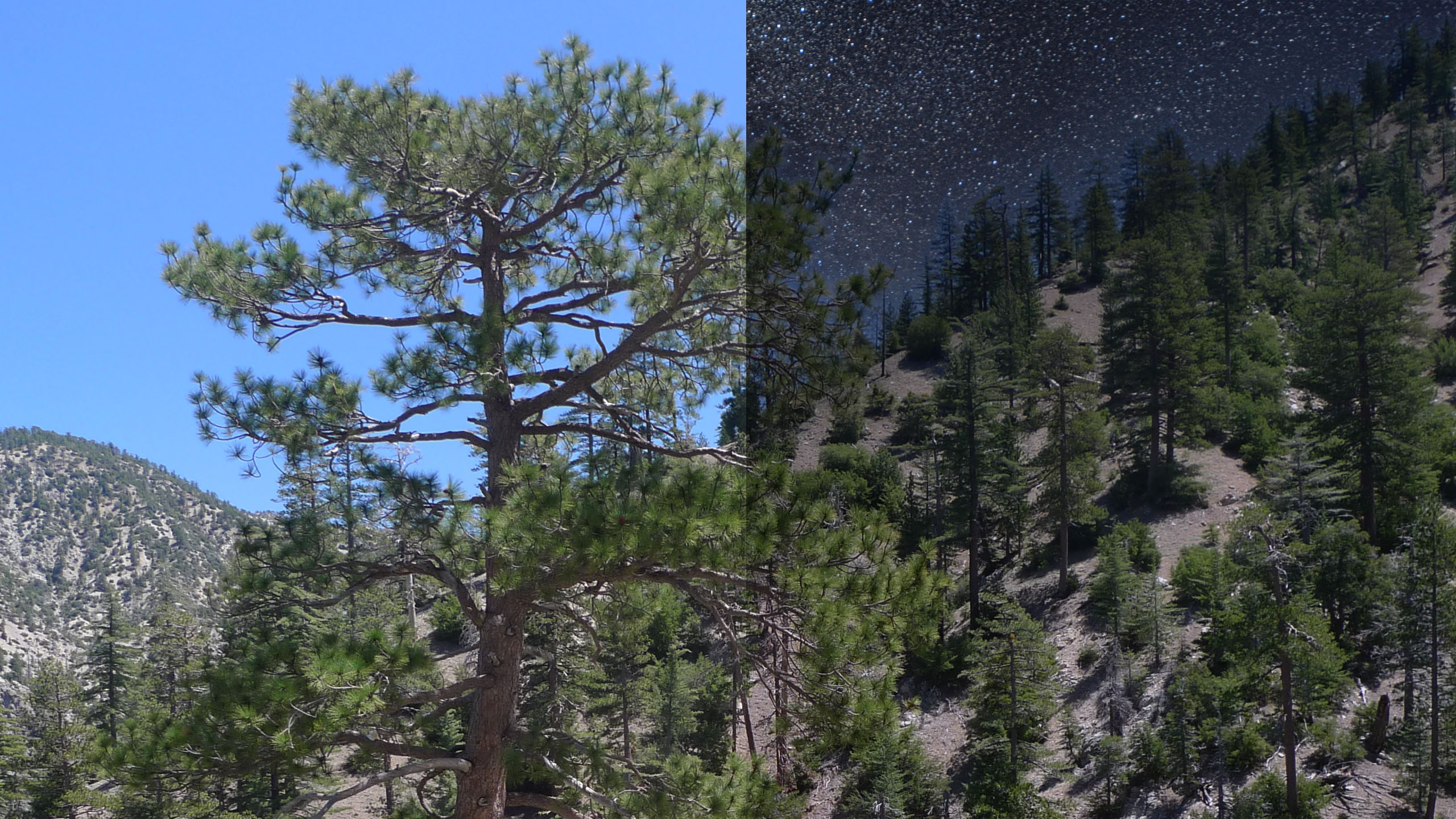 PHOTOFOCUS 2560x1440px sky replacement before and after