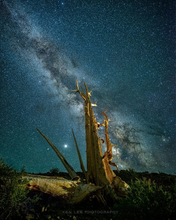 What colors are in the Milky Way? I don't know. I basically left the colors alone, just saturating them and warming them ever so slightly. This was photographed at about 11,000 feet in elevation in the Ancient Bristlecone Pine Forest in California.