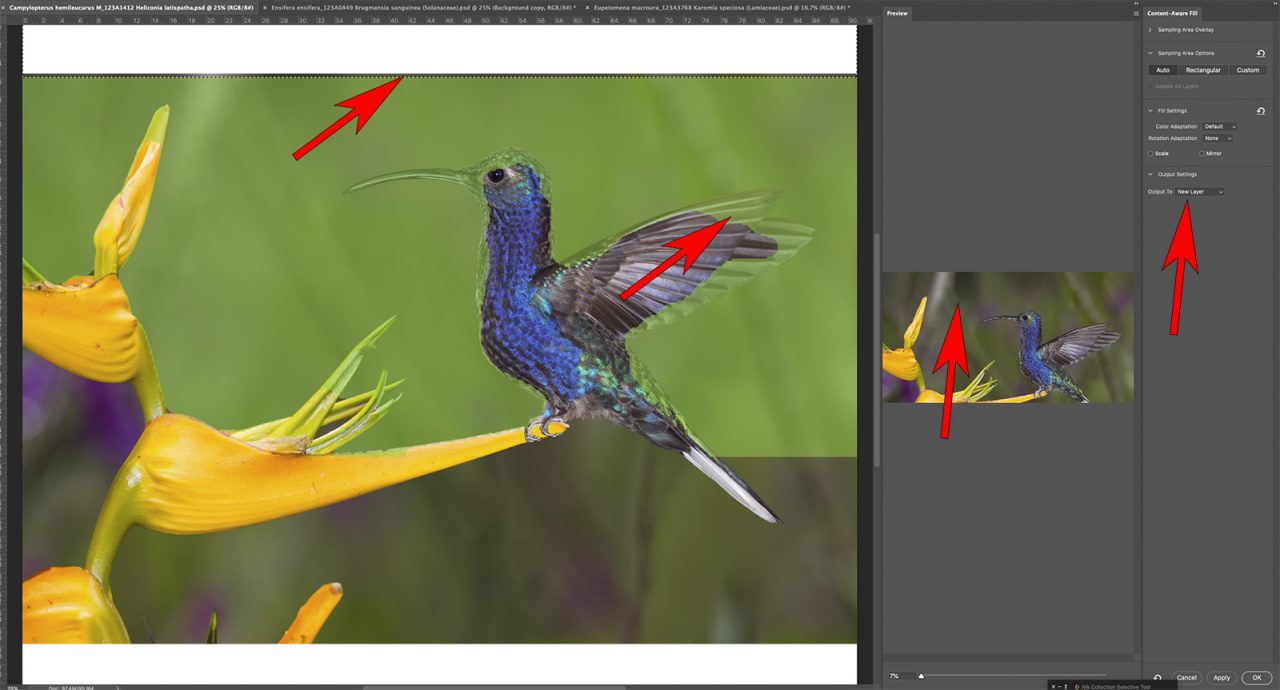 Adobe Photoshop Content aware fill dialog box