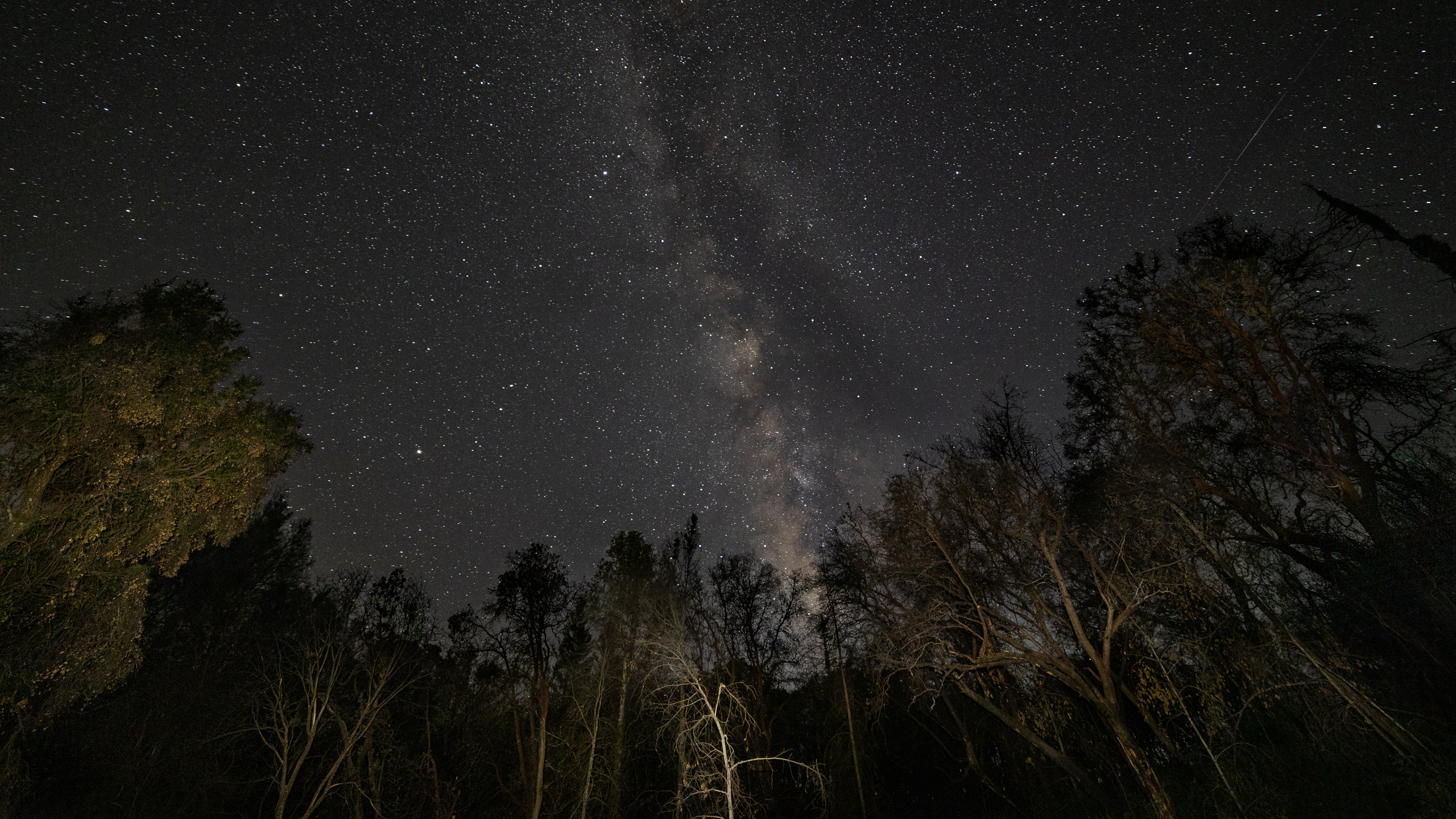 Milky Way from the Santa Cruz Mountains
