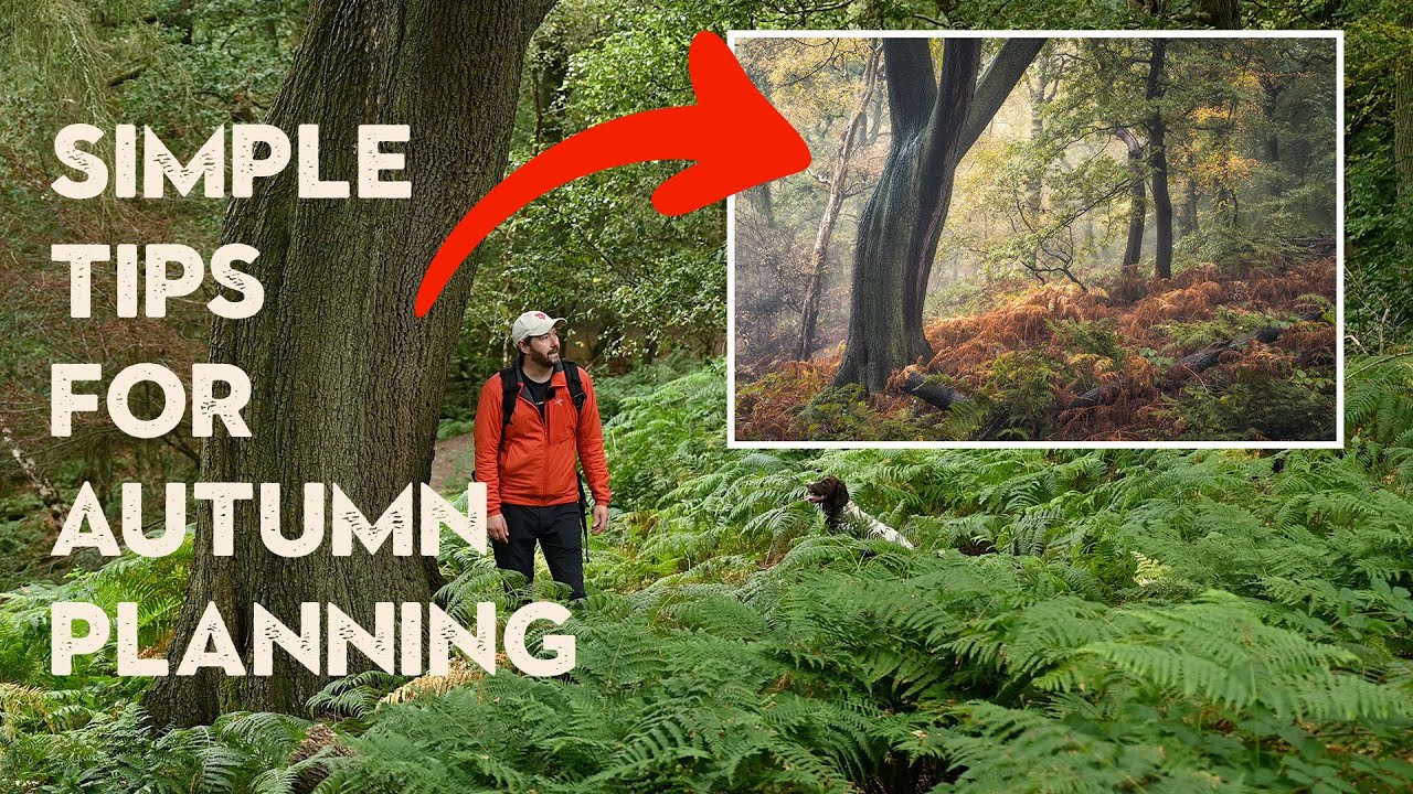 How I get ready for Autumn Photography + Woodland Composition Tips - youtube